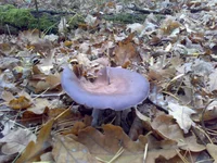 22102014806.webp