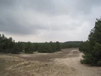 IMG_2780.webp