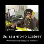 .webp