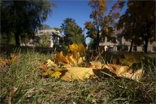 _MG_6595 копия.webp