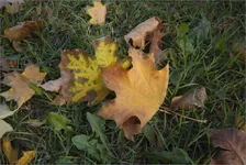 IMG_6735 копия.webp