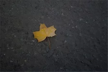 IMG_6869 копия.webp