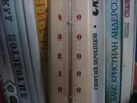 14.webp