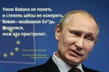 2483ca3c4c99.webp