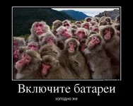 087baee6fea1e11c7210a40e50_31660450.jpg