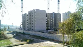 IMAG0563[1].webp