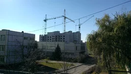IMAG0564[1].webp