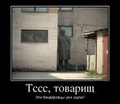 74336933_tsss-tovarisch.webp