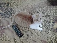 2014-11-01 19.15.50.webp