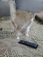 2014-11-01 19.20.28.webp