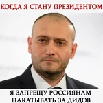 13.webp
