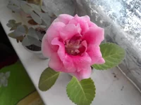 2014714095100 брокада.webp