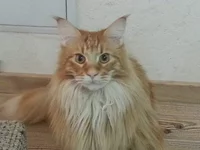 20140424_075607.webp