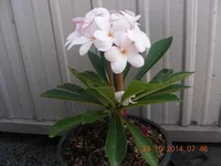  компакта (1).webp