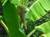 DSCN9728.webp