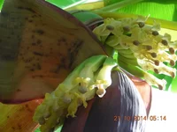 DSCN0038.webp