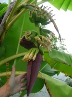 DSCN0127.webp