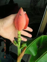 DSCN0218.webp
