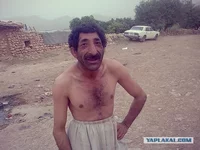 4224639.webp