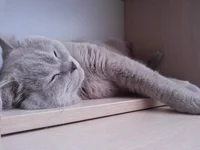 20140119_142331.webp