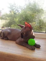2012-06-25 18.16.47.webp