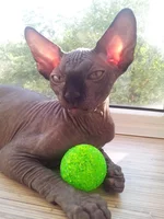 2012-06-25 18.17.08.webp