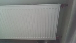 IMAG1872.webp
