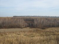 IMG_5438_.jpg