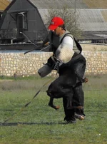 156818_116165405115261_4545898_n.webp
