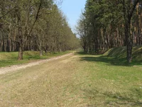  аллея.webp