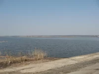 IMG_2387.webp