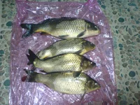 28.04.09.webp