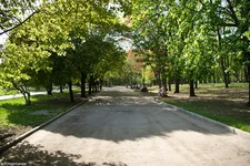 _IGP8653as.webp