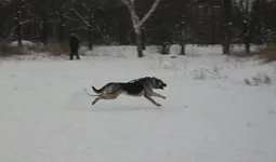 902a65e8d04d.webp