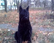 IMG0003A.jpg