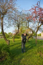 _IGP8789as.webp