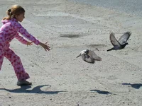 dsc04822.webp