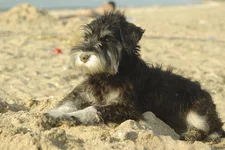 az080047.webp