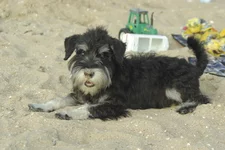 az080029.webp