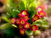 002.webp