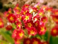 004.webp