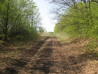 _2-3.05.09_150км 046.webp