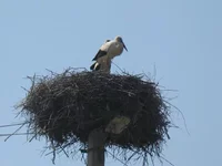 _2-3.05.09_150км 164.webp