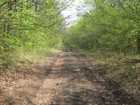 _2-3.05.09_150км 043.webp