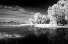 BW_Infra red photo.webp