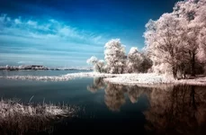 Infra red photo.jpg