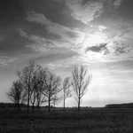field in square.jpg