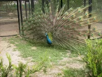 PICT0166.webp