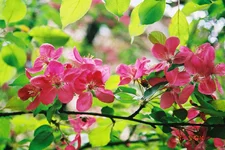 F1000021.webp