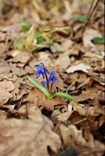 r002-012.webp